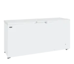 TEFCOLD GM600 solid lid commercial chest freezer